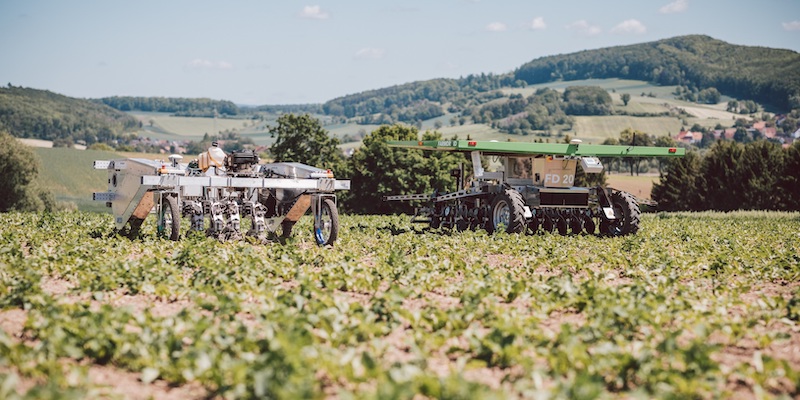 Testergebnisse mit Unkrautrobotern zeigen Perspektiven für eine nachhaltigere und profitablere Landwirtschaft